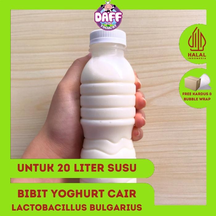 

BIBIT YOGURT CAIR LACTOBACILLUS BULGARICUS HALAL 200 ML|DAFF YOGHURT