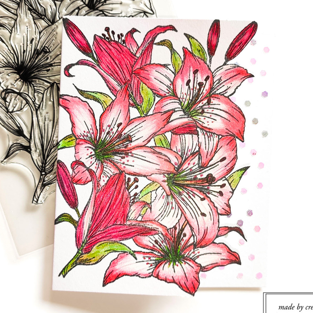 

Alinacutle Clear Stamps Large Lily Bloom Floral Background Scrapbooking Card Album Paper Craft Rubber Transparent Silicon Stamps