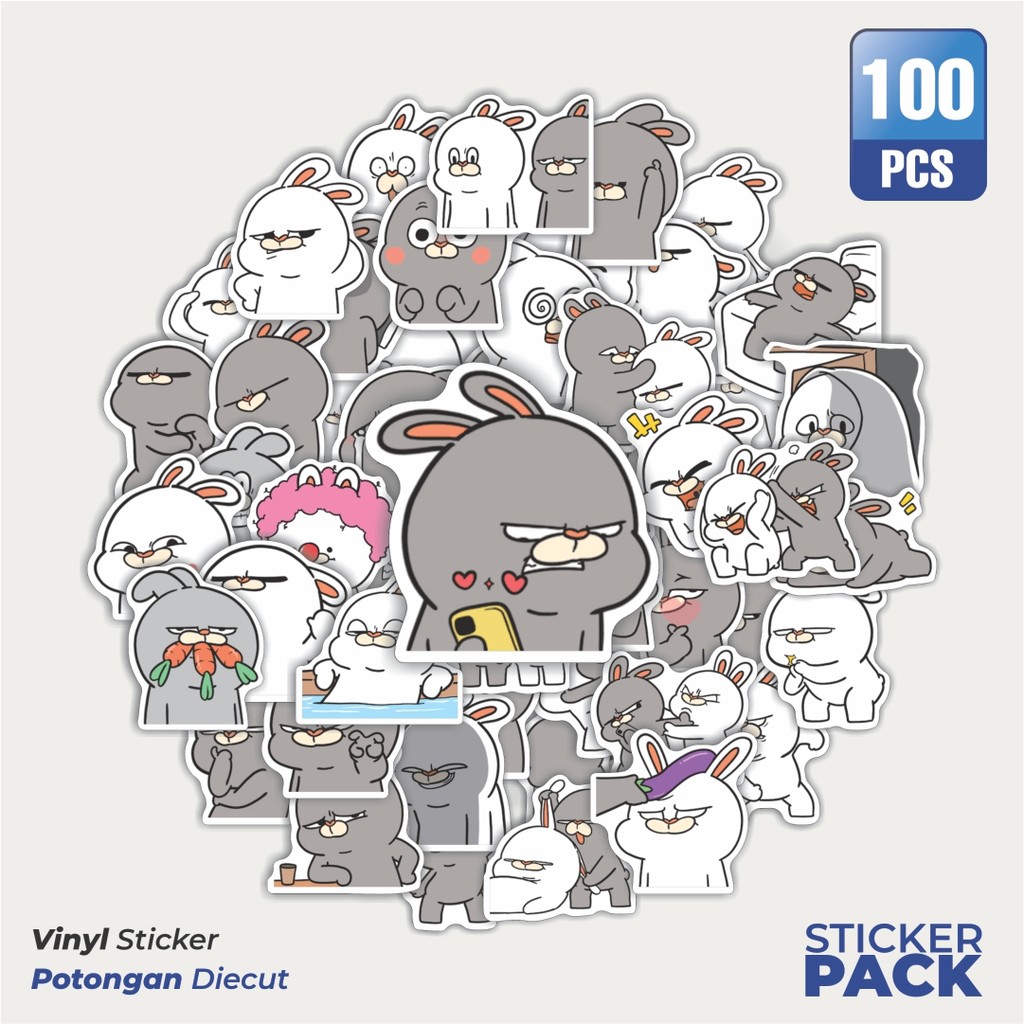 

Stiker Vinyl Stiker Coney&Looney Waterproof Aesthetic- Untuk Laptop, Motor, dan Helm - Paper Stationery Pack