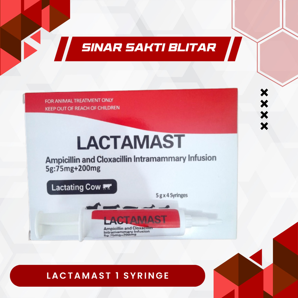 LACTAMAST 1 SYRINGE - Antibiotik Intramammary untuk Pengobatan Mastitis pada Sapi Perah