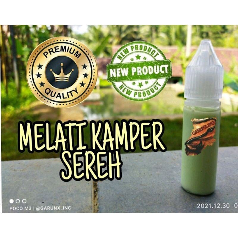 ESSEN OPLOSAN MANCING IKAN MAS BABON INDUKAN DAN IKAN MAS RAME MELATI KAMPER SEREH - ORIGINAL