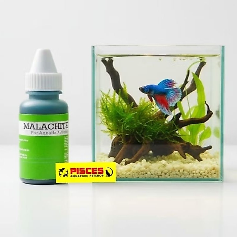 Obat hijau Ikan | Malachite Green Anti Jamur & Parasit Ikan Hias | Obat White Spot Ikan Cupang, Gupp