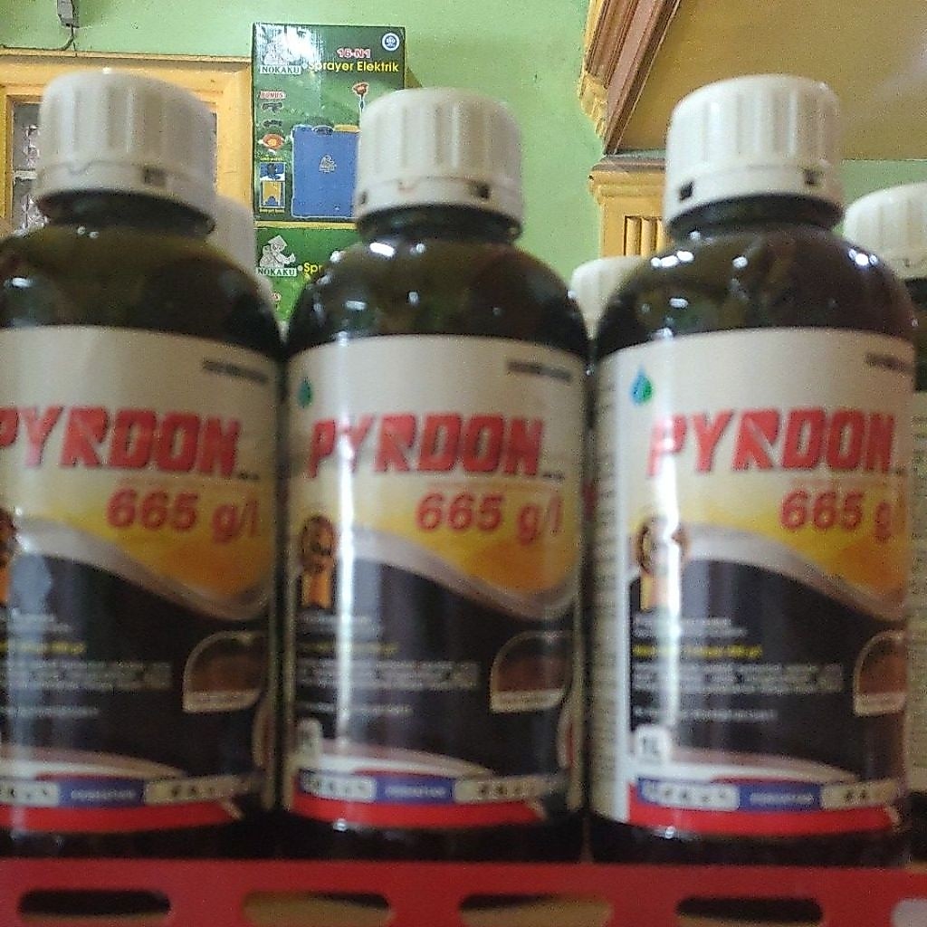 Herbisida Pyrdon 480Eac (sejenis garlon ) 1liter iter