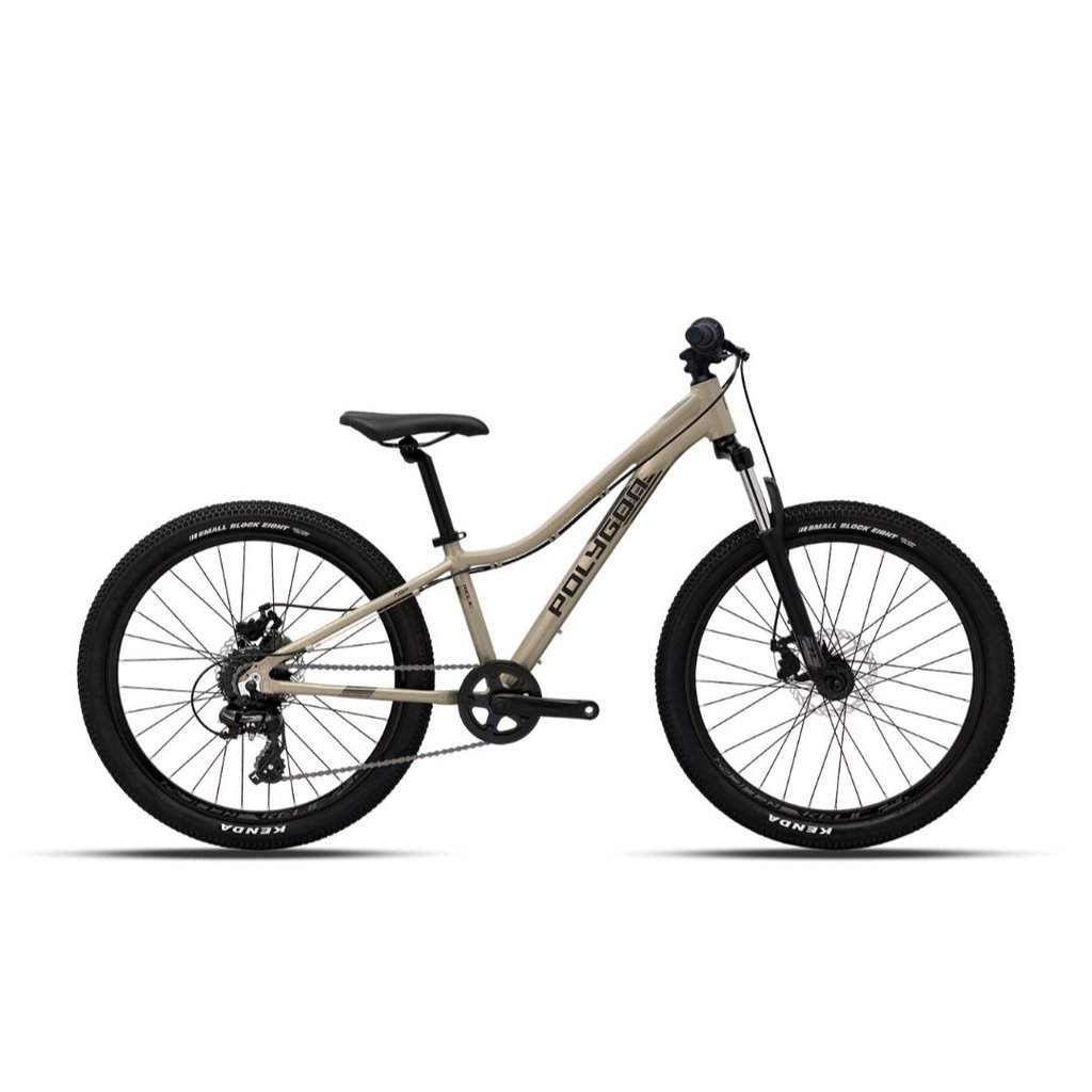 Sepeda Gunung Remaja Polygon MTB 24 inch Relic