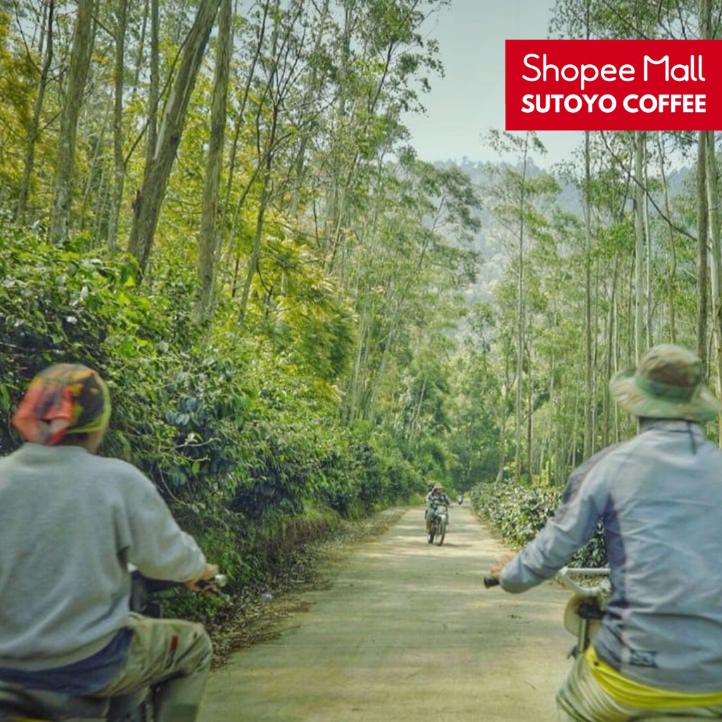 

JAMIN MURAH !!!SUTOYO COFFEE – Kopi Arabika Toraja Sapan 500 Gram by Sutoyo Coffee | Single Origin | Roast Beans(BISA LANGSUNG ORDER)