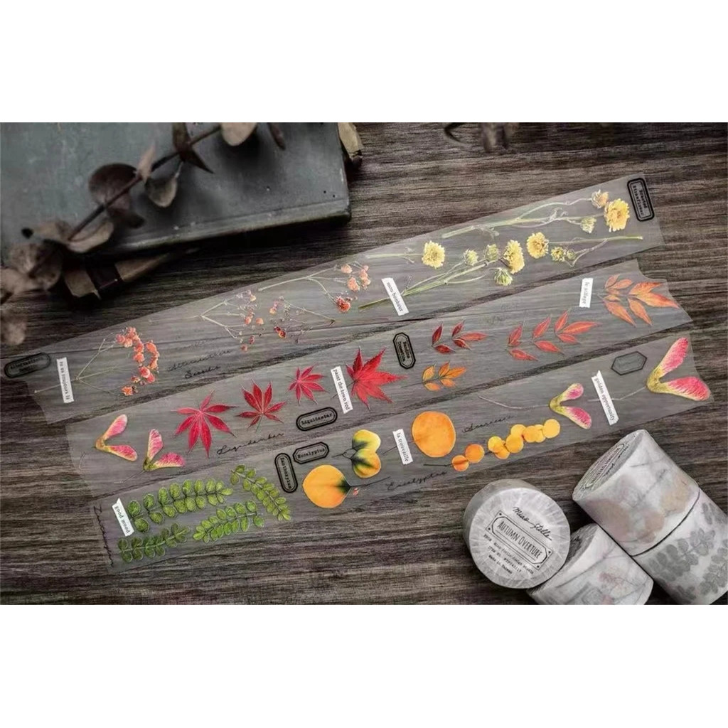 

Miaostelle Vintage Autumn Overture Washi PET Tape Planner DIY Card Making Scrapbooking Plan Decorative Sticker