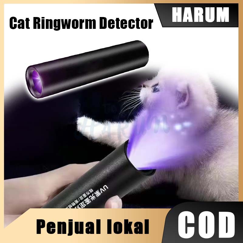 Senter UV 365nm USB Rechargeable Detektor Uang Palsu Urin Hewan Jamur Cek Keaslian Hologram