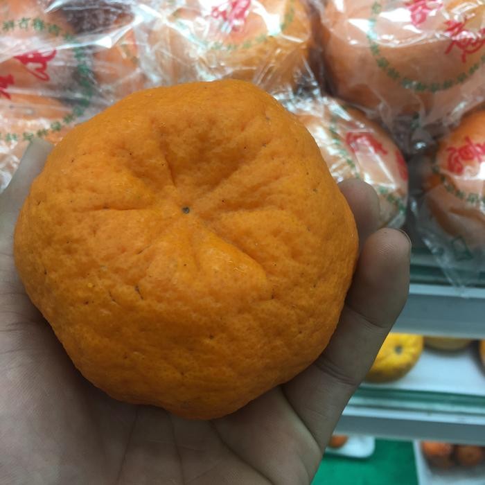 

jeruk ponkam manis jumbo 1 kg