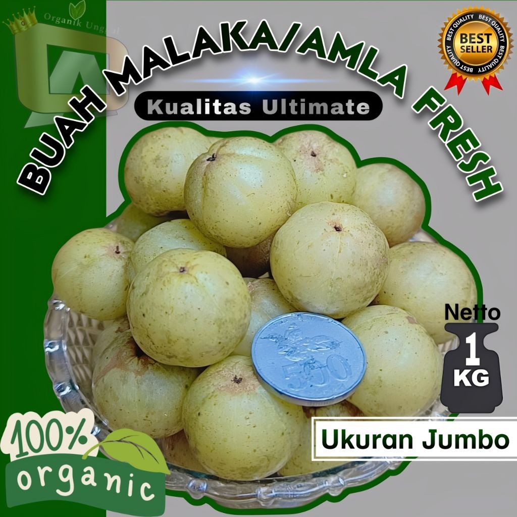 

Buah Malaka Fresh 1kg UK Jumbo || Buah Amla Kualitas Ultimate dan Kualitas Standar