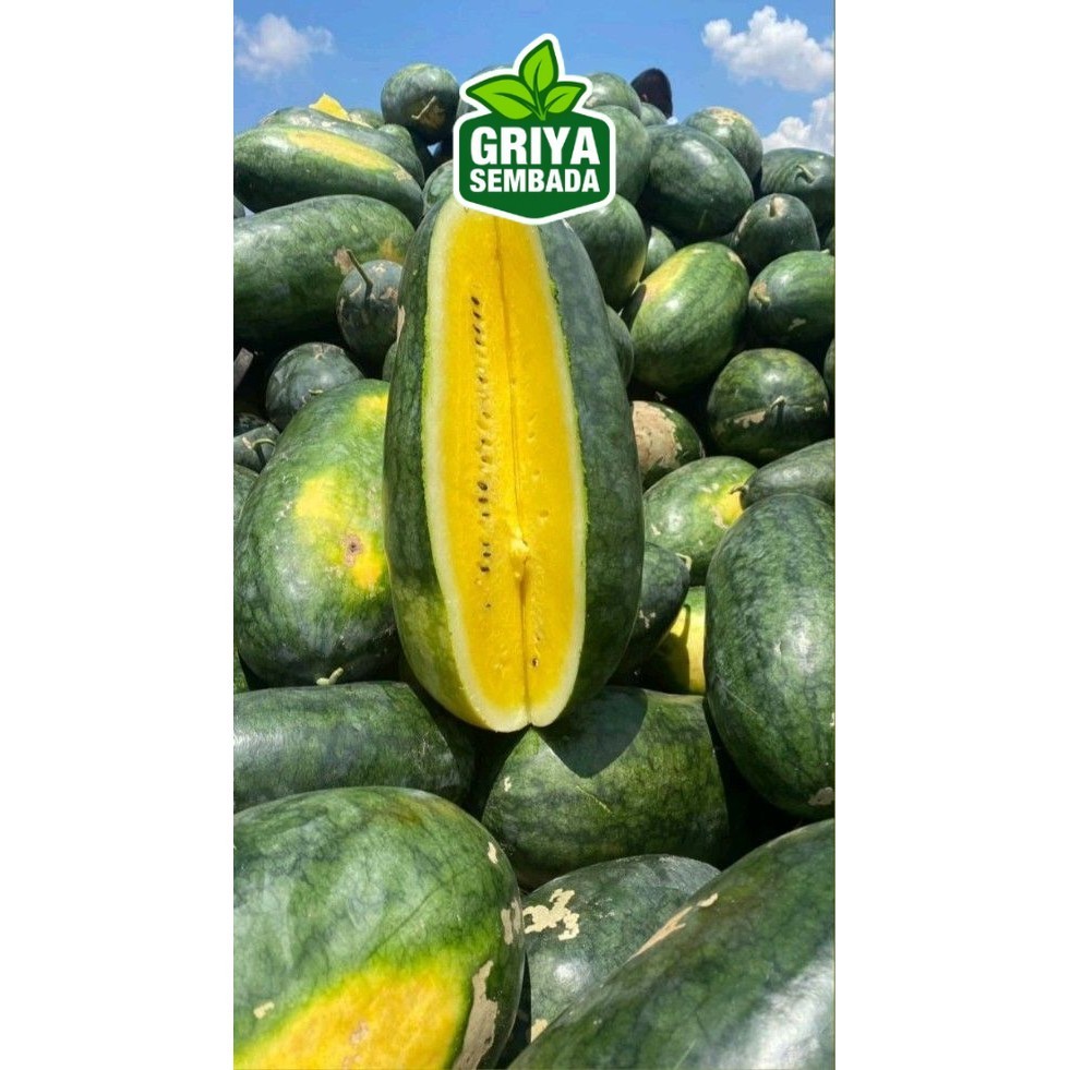

instant SEMANGKA KUNING(1GLONDONG) sameday/Griya Sembada