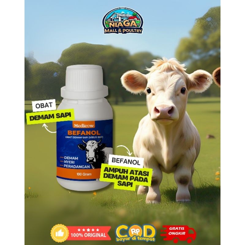 Medicow Befanol Obat Demam Sapi (BEF)