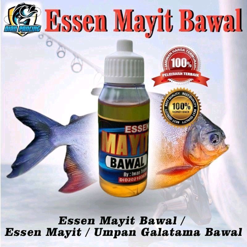 Essen Mayit Bawal / Essen Mayit / Umpan Galatama Bawal - ORIGINAL