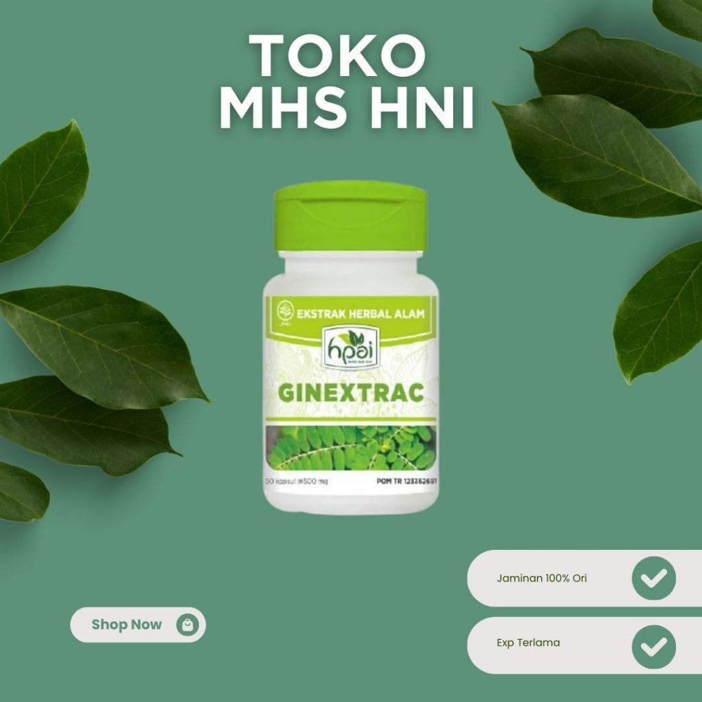 GINEXTRAC HNI HPAI OBAT HERBAL KENCING BATU, BATU KANDUNG KEMIH DAN KANDUNG EMPEDU