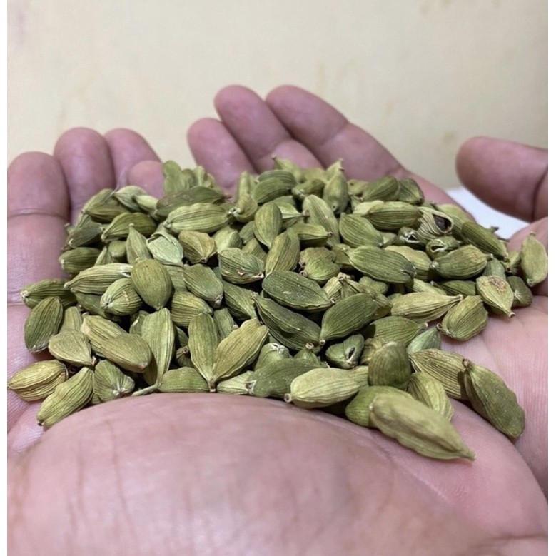 kapulaga hijau kapulaga arab kapulaga india