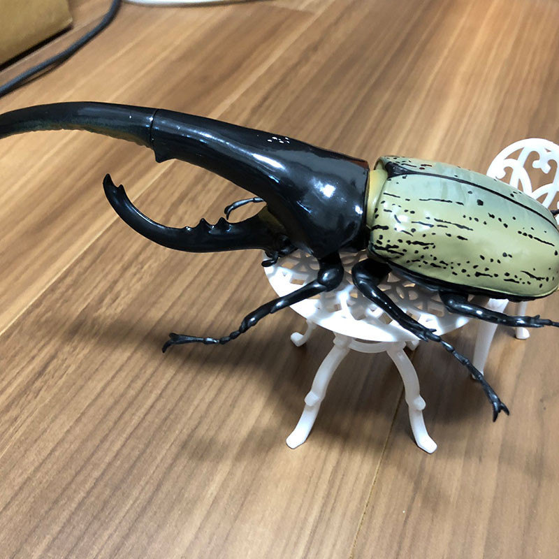 In stock SO-TA Gashapon Figure Anime Cute 1/1 Artificial ect Japanese Rhinoceros Beetle Kawaii Figur