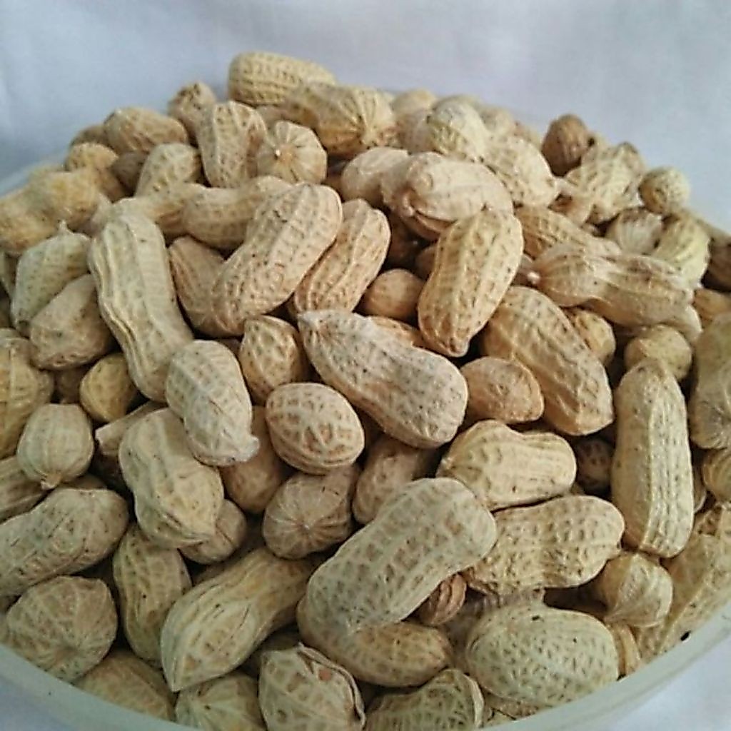 Kacang Oven / Kacang Oven 1 Kg / Kacang Oven Asin Gurih