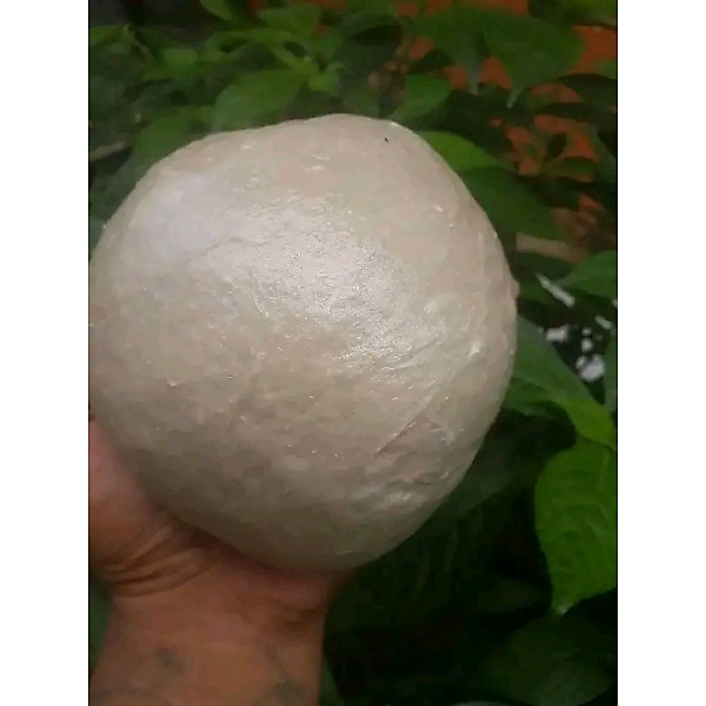 Pulut burung super siap pakai anti zonk 1kg