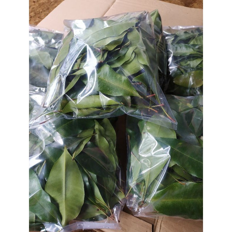 

PROMO promoDAUN CENGKEH SEGAR 250 GRAM readdy