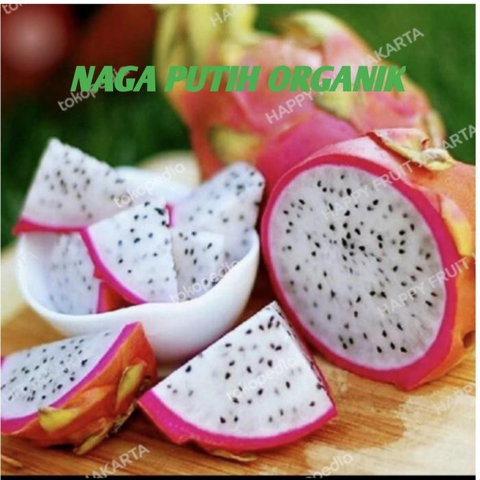 

Buah naga putih / dragon fruit white 1 kg