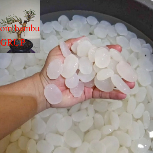 

Kolang Kaling Jumbo Fresh 1kg - Kolang Kaling Bersih Putih Cocok buat Manisan