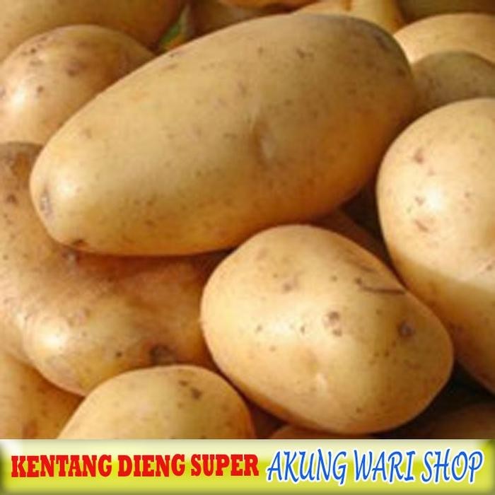 Kentang Dieng Super 1 Kg