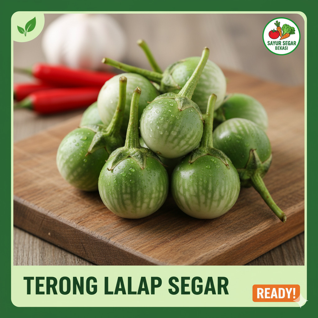 

Terong Bulat Terong Lalap 100 Gram