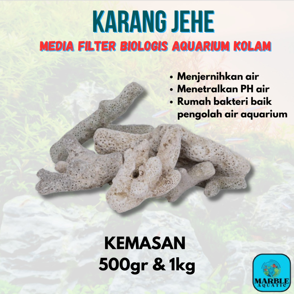 KARANG JAHE 1KG / KARANG JAHE / BATU KARANG JAHE 1KG / BATU KARANG JAHE KUALITAS SUPER