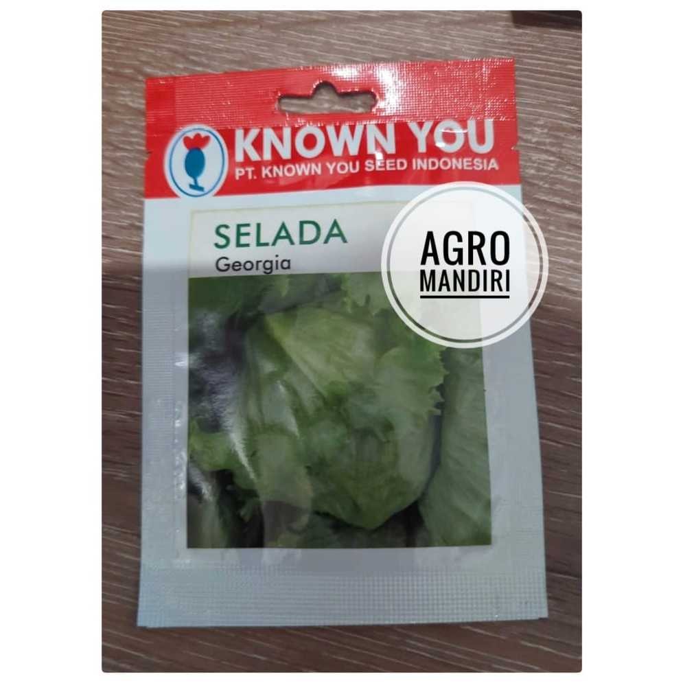 Isi 1 Gram Benih Bibit Selada Iceberg Lettuce Georgia Known You Seed Surabaya