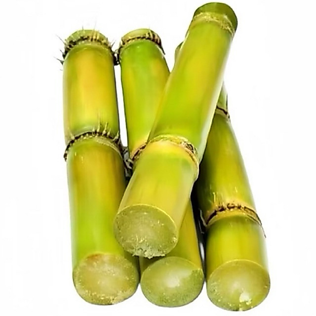 Tebu Hijau super 500g-batang tebu hijau organik