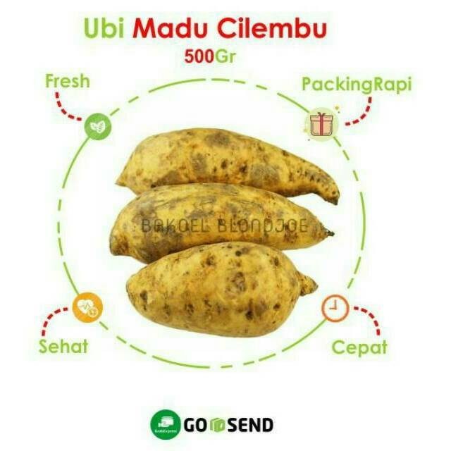 

UBI MADU MENTAH / UBI CILEMBU MATANG MANIS SUPER FRESH 1 KG UMBI UMBIAN SEGAR(Bakoelblondjoe) BEST SELLER