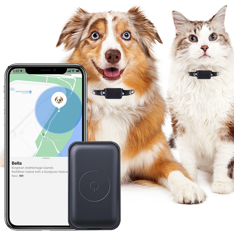 2025 New Dog And Cat GPS Tracking Pet Gps Tracker Collar Anti-Loss Device Real-Time Tracking Inbox U