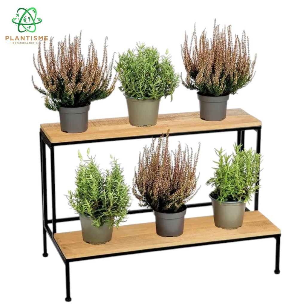 Rak Tanaman - Veersaa Rak Besi Kayu Holo Anti Karat Rak Tanaman Susun 2 Model Tangga Kokoh Estetik D