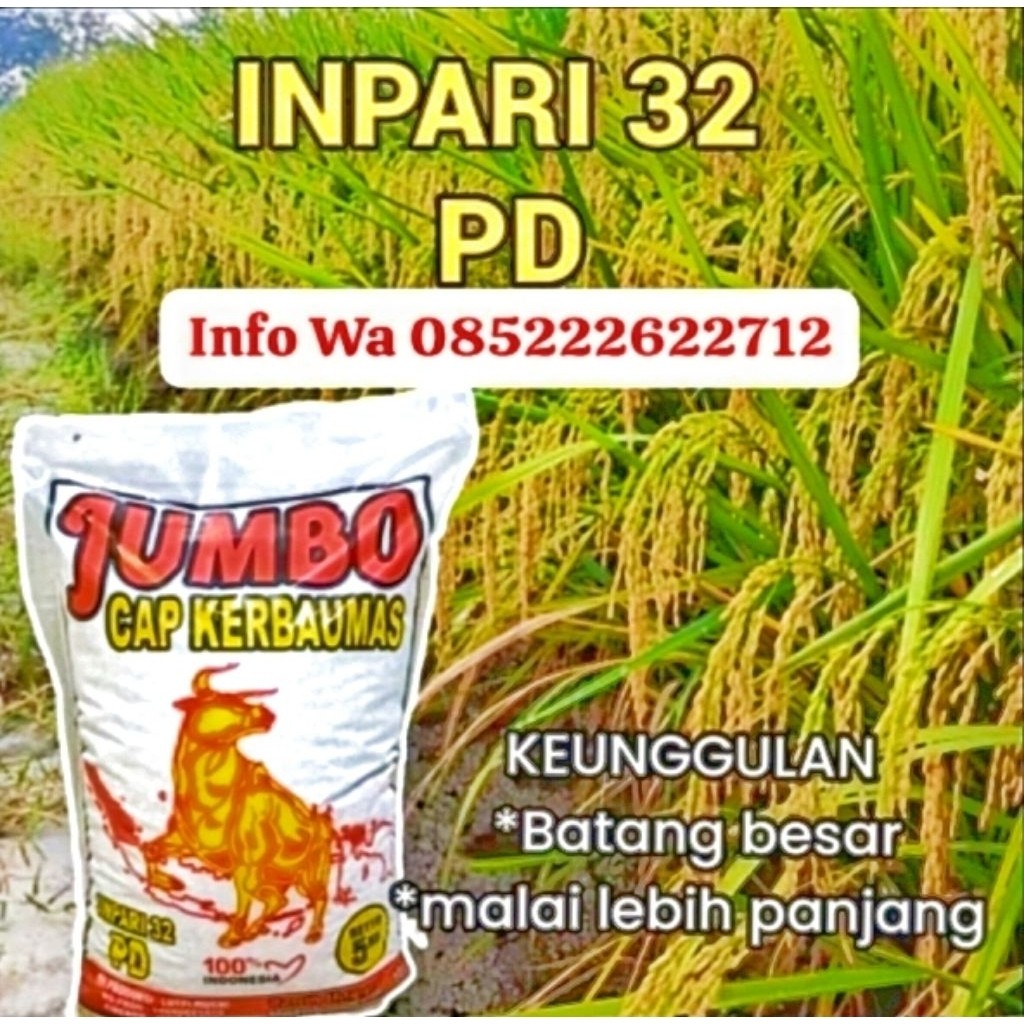 NASPROTOPB Terlaris... BIBIT BENIH PADI INPARI 32 PD JUMBO cap KERBAUMAS JAMINAN ORIGINAL