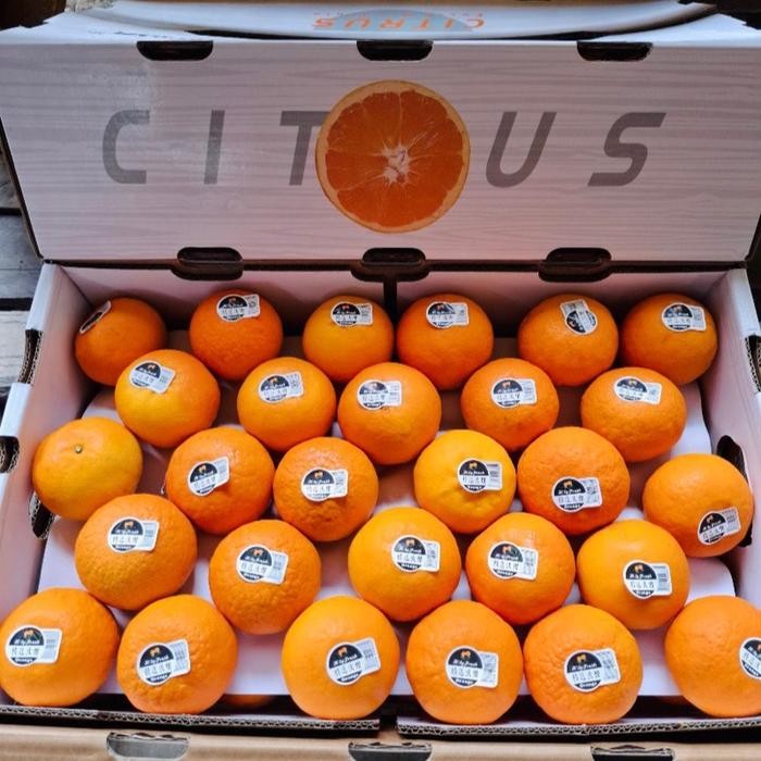 

Jeruk wokam manis banyak air | jeruk manis mandarin wokam 1 kg