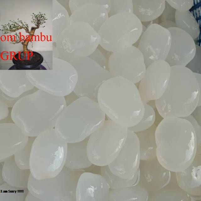 

Kolang kaling 1/2kg murah /kolang kaling murah