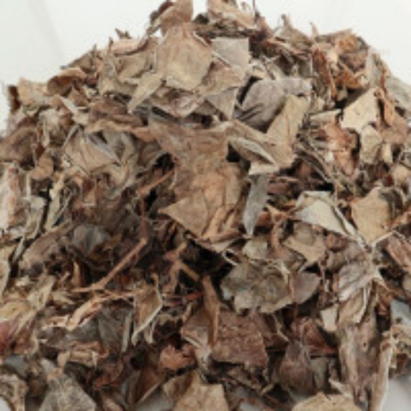 

DAUN SIRIH CINA FRESH DAN KERING ORI 100% 500gram