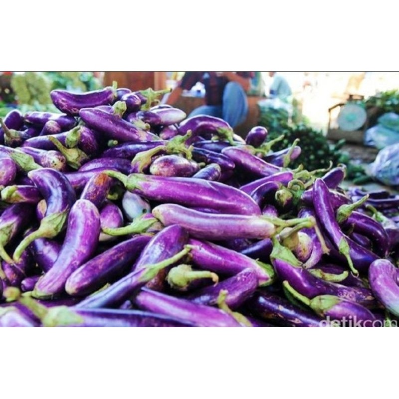 

New Terong Ungu Segar Per 500 Gram