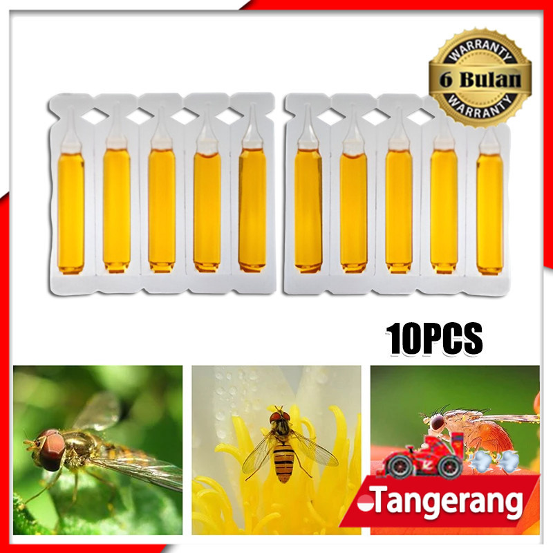 10pcs Fruit Fly Attractant 2ml Trap Bait / Fruit Fly Attractant Liquid