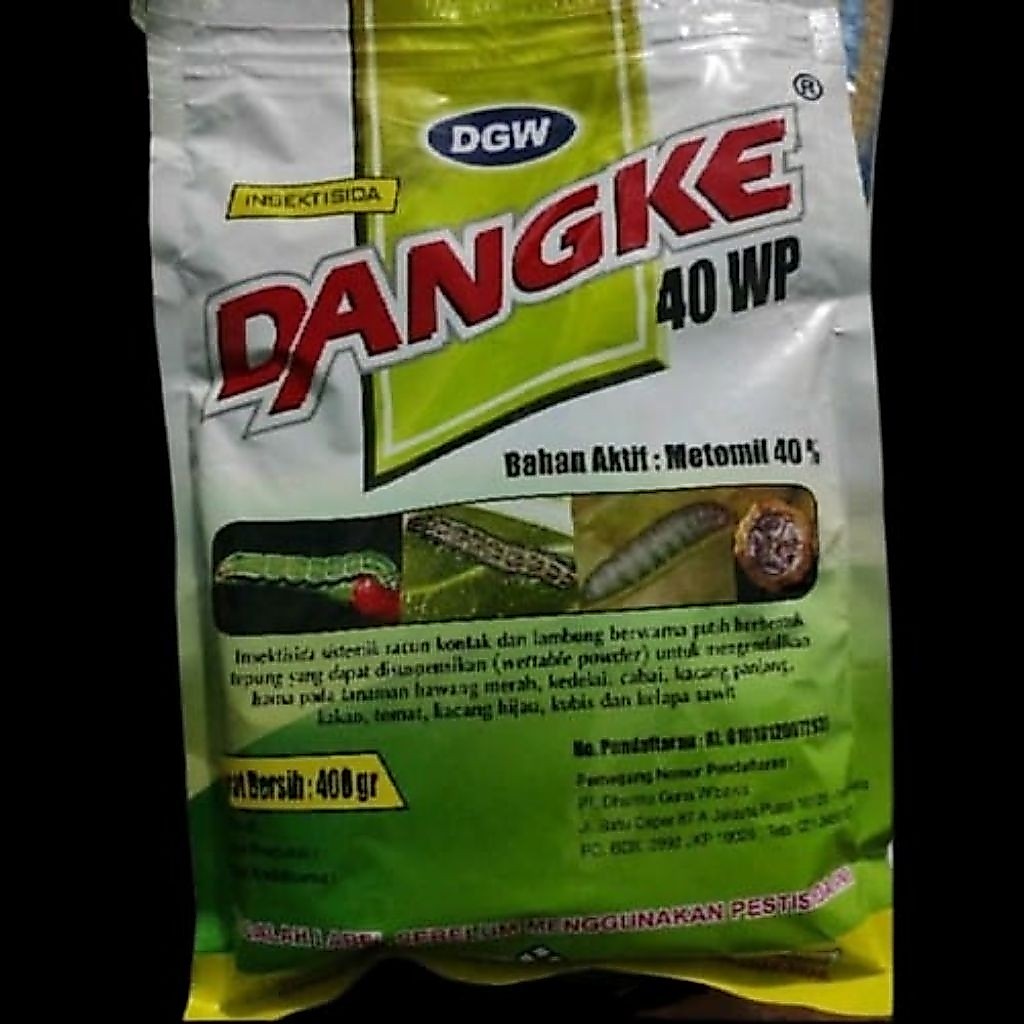 Dangke