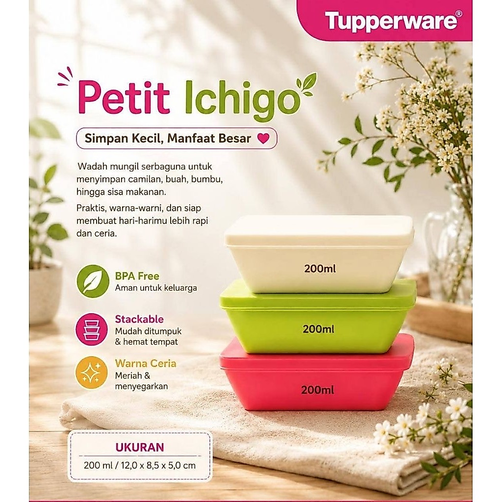 tupperware petit ichigo (3)