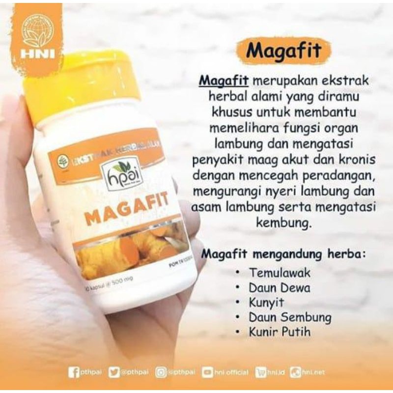 

MEGAFIT (HNI /HPAI)/UNTUK ASAM LAMBUNG/MAAG KRONIS DAN AKUT