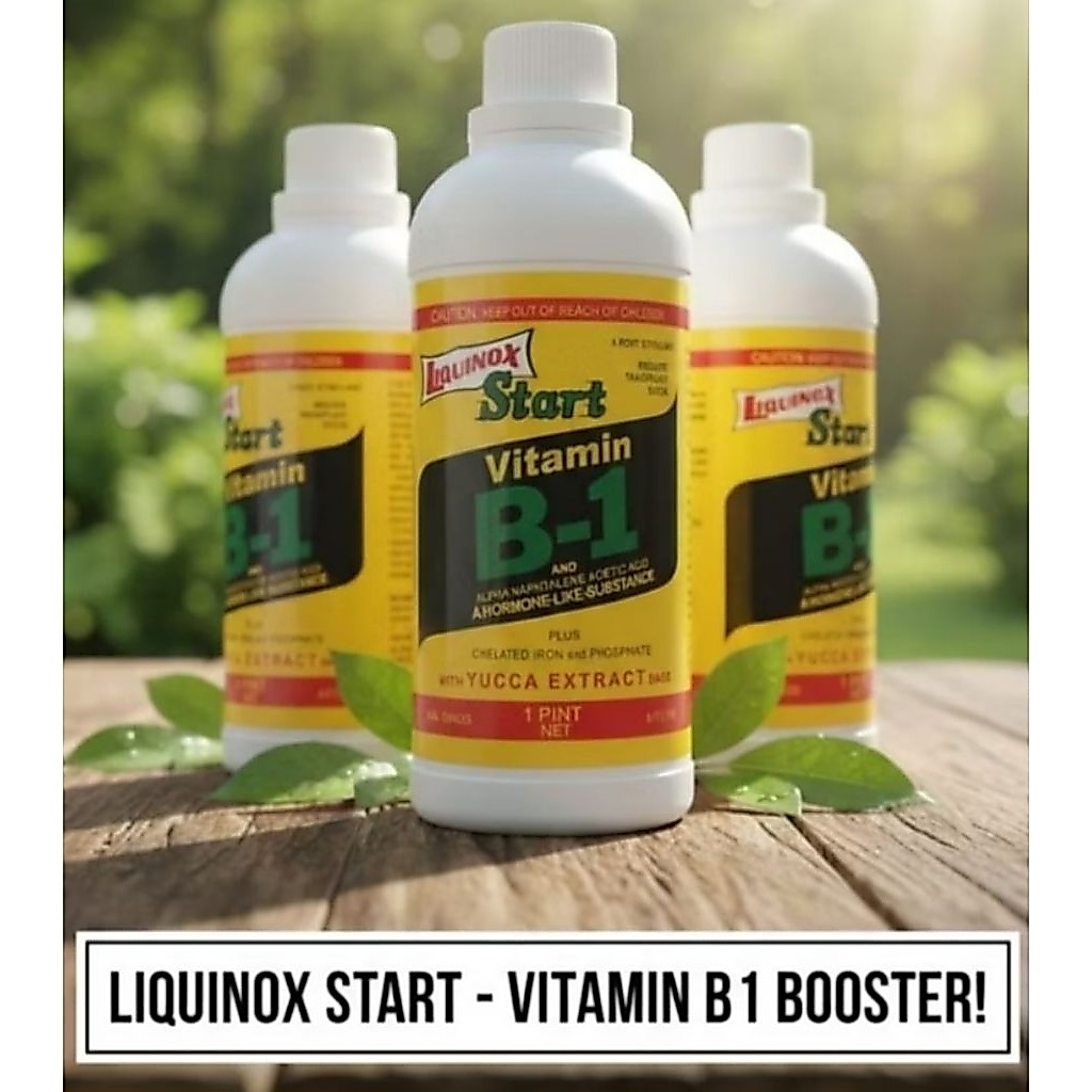 Pupuk VITAMIN B1 470 ml Hologram Liquinox Start