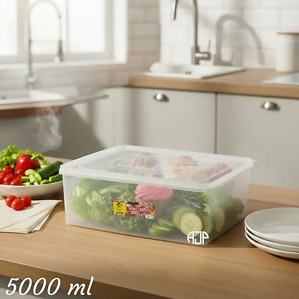 Food Box Plastik / Box Plastik Tempat Menyimpan Sayuran, Makanan, Brownies, Donut Ukuran 5000 ml | 1