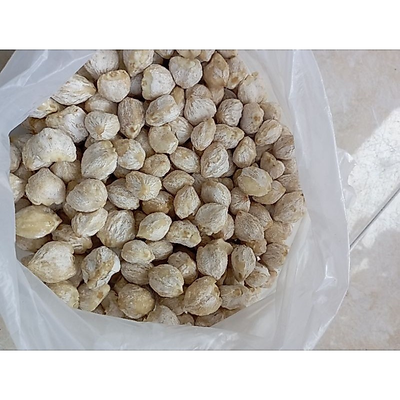 kemiri bulat 1kg/1000g