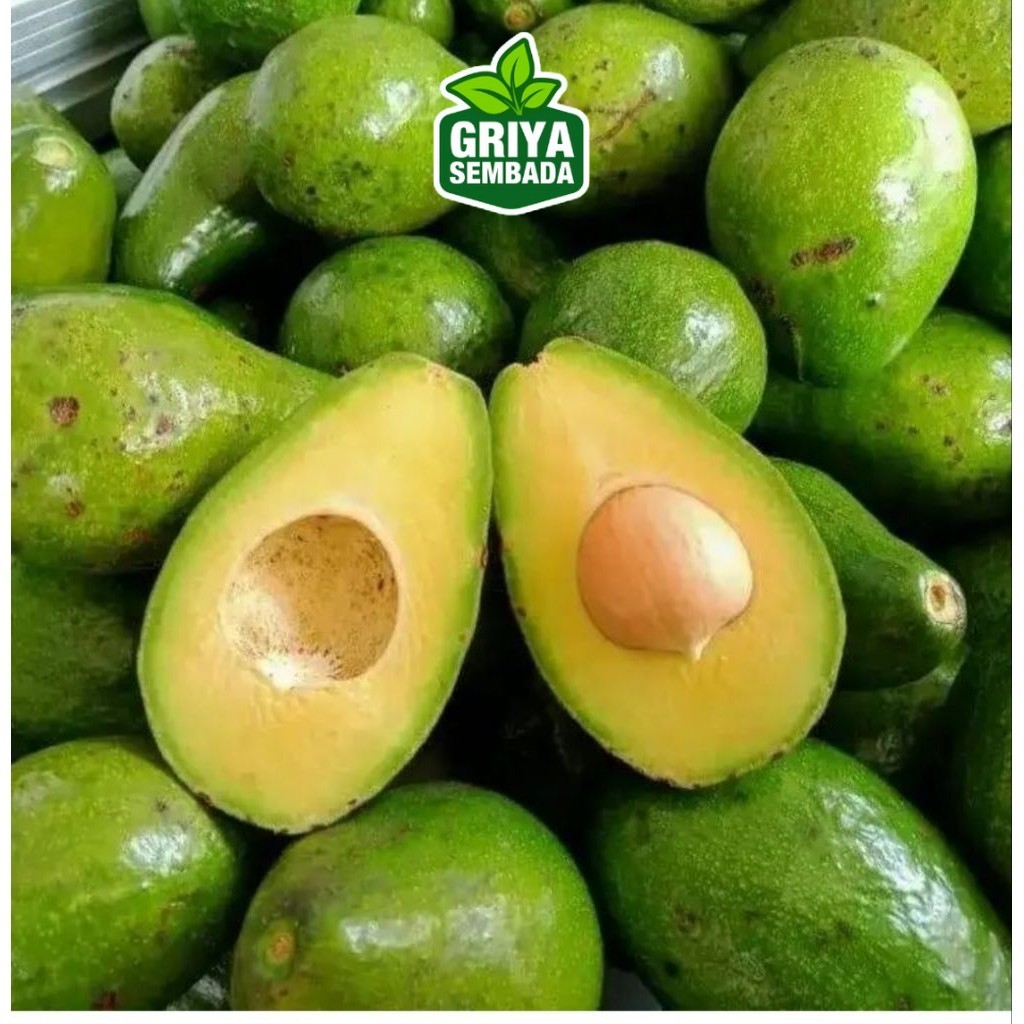 

buah alpukat 1 kg pilihan bppn Griya Sembada/ Semarang