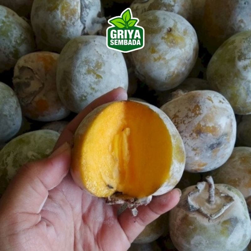 

buah kesemek lokal manis 1kg Griya sebada/ Semarang