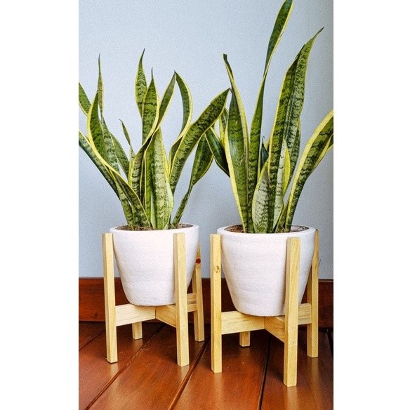 Mokuzaiku - Standing Pot Tanaman Bunga Kayu Jati Belanda Perhutani Bukan Kayu Bekas.