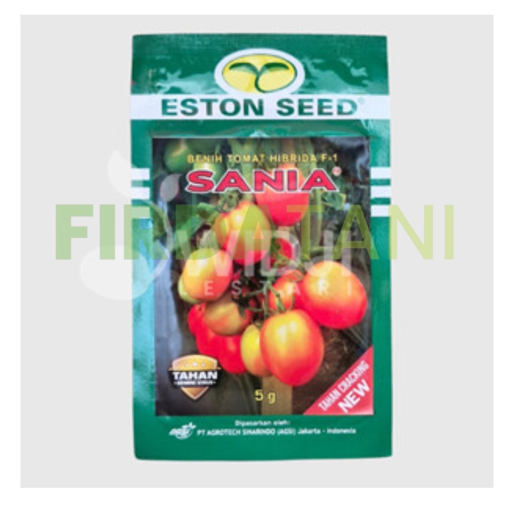 

Tomat Sania F1 Tomat Hibrida 5gr Original Pabrik