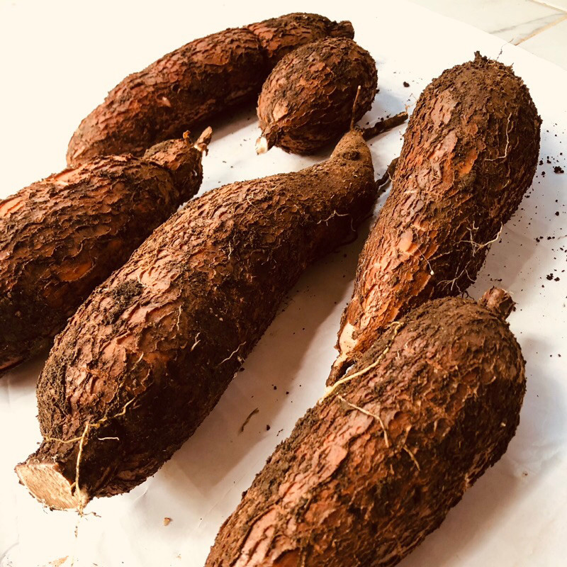 

SINGKONG 1 KG GOOD QUALITY