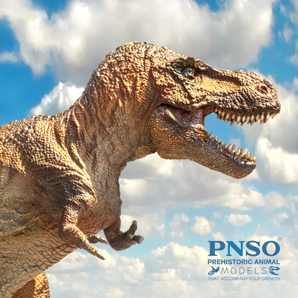 PNSO Prehistoric nosaur Models:25 Wilson The T-Rex